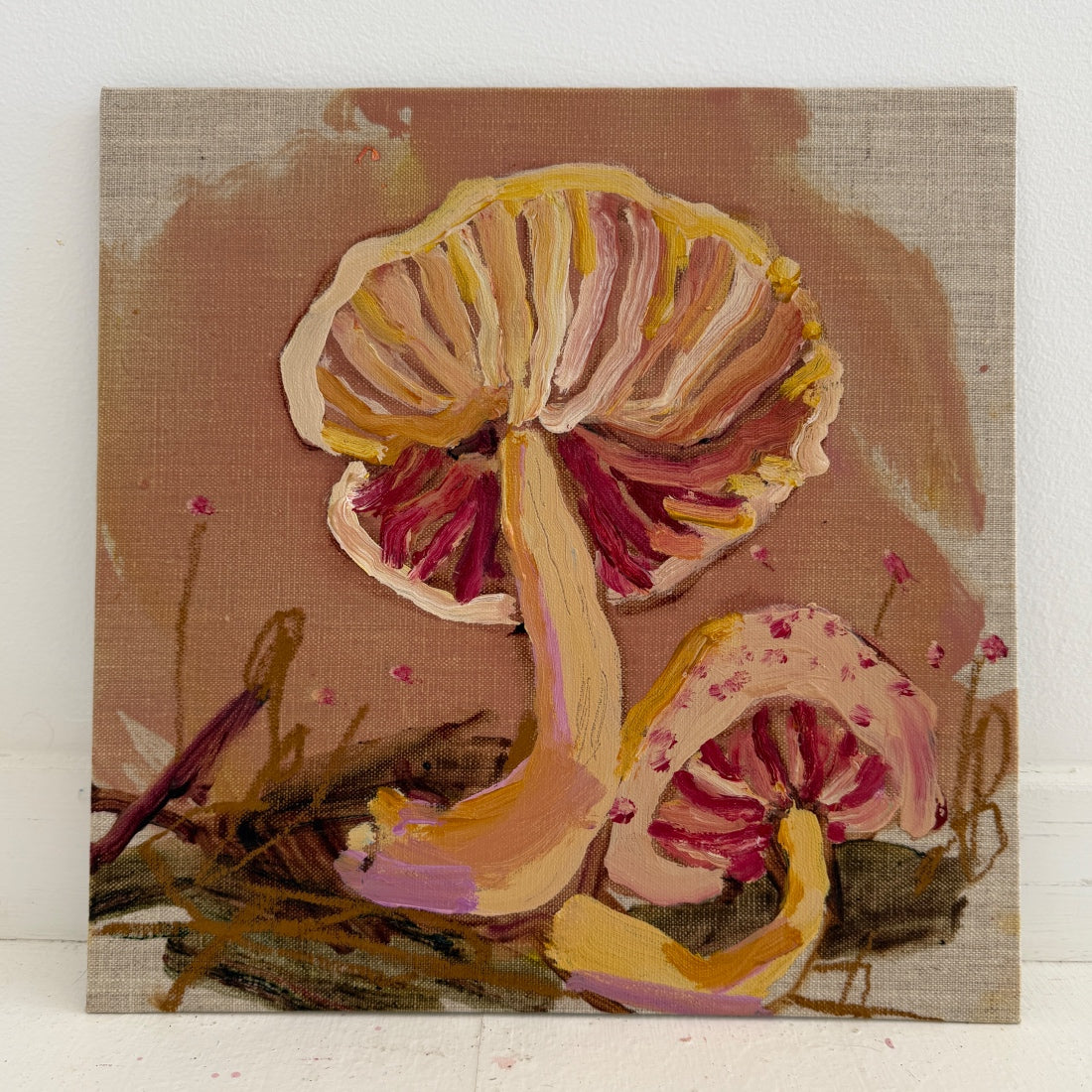 CALLISTOSPORIUM - canvas study