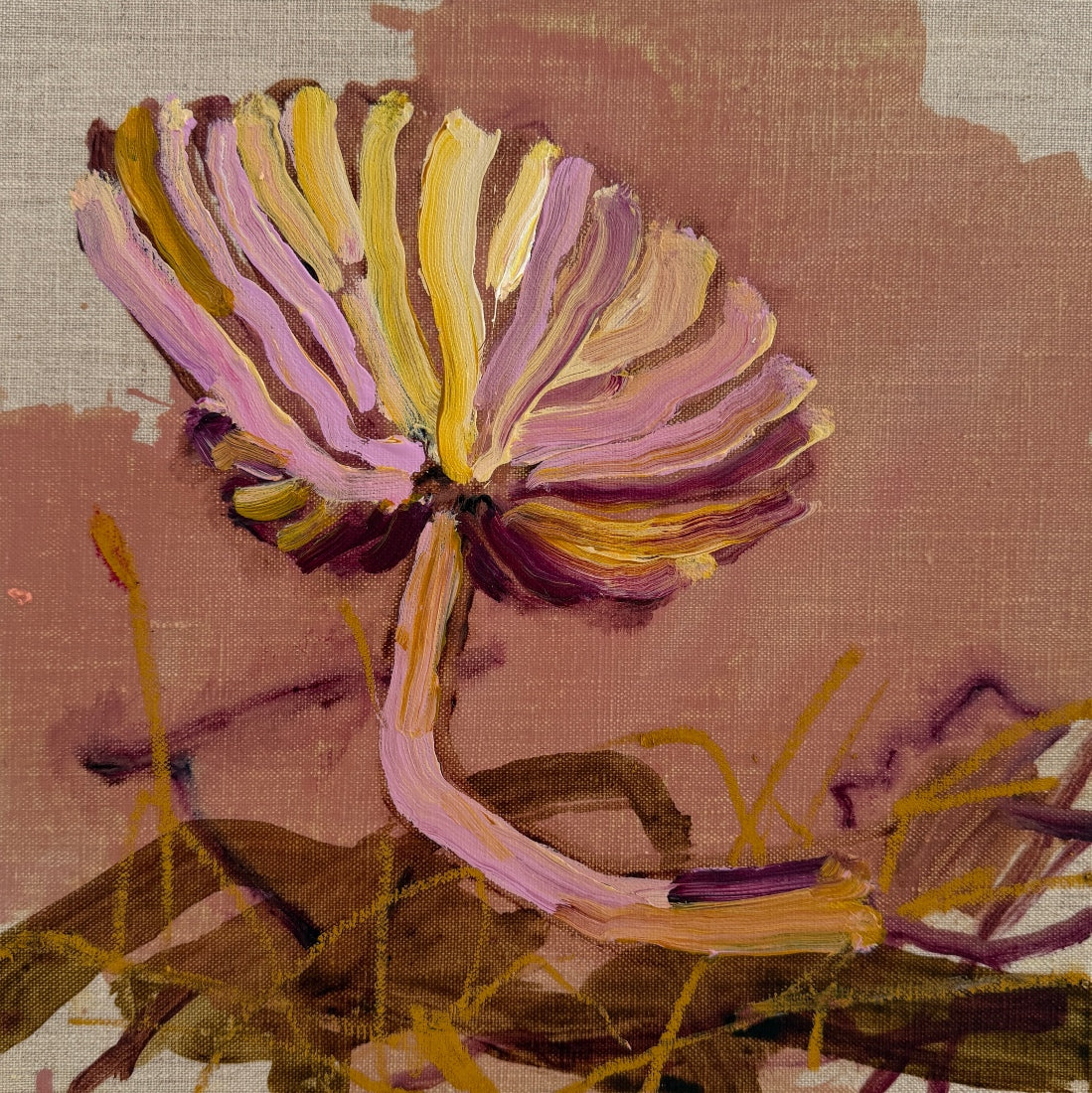 ENTOLOMA - canvas study
