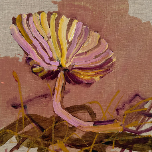 ENTOLOMA - canvas study