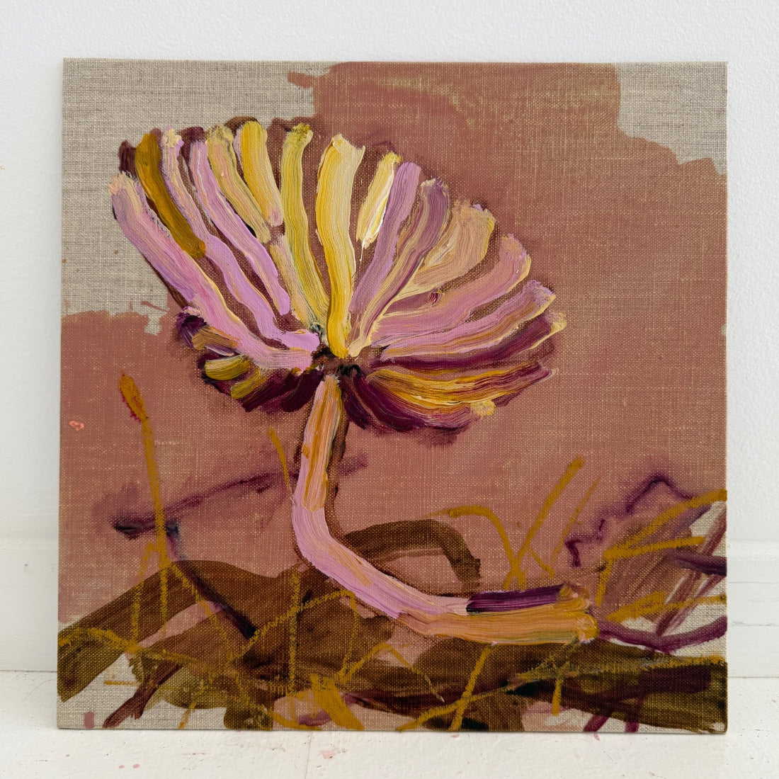 ENTOLOMA - canvas study