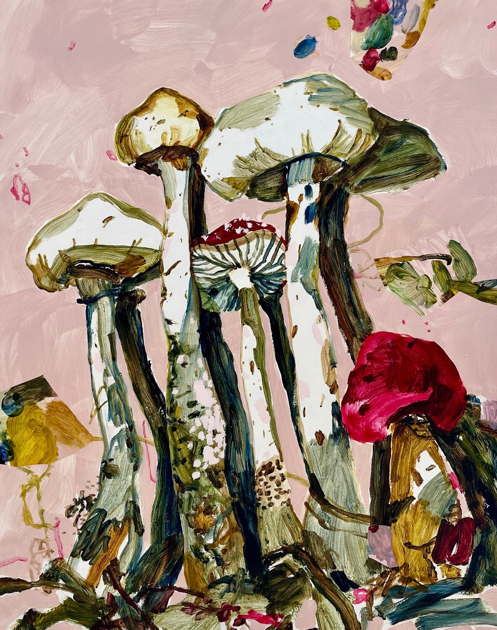 OF CAPS AND CURIOSITIES