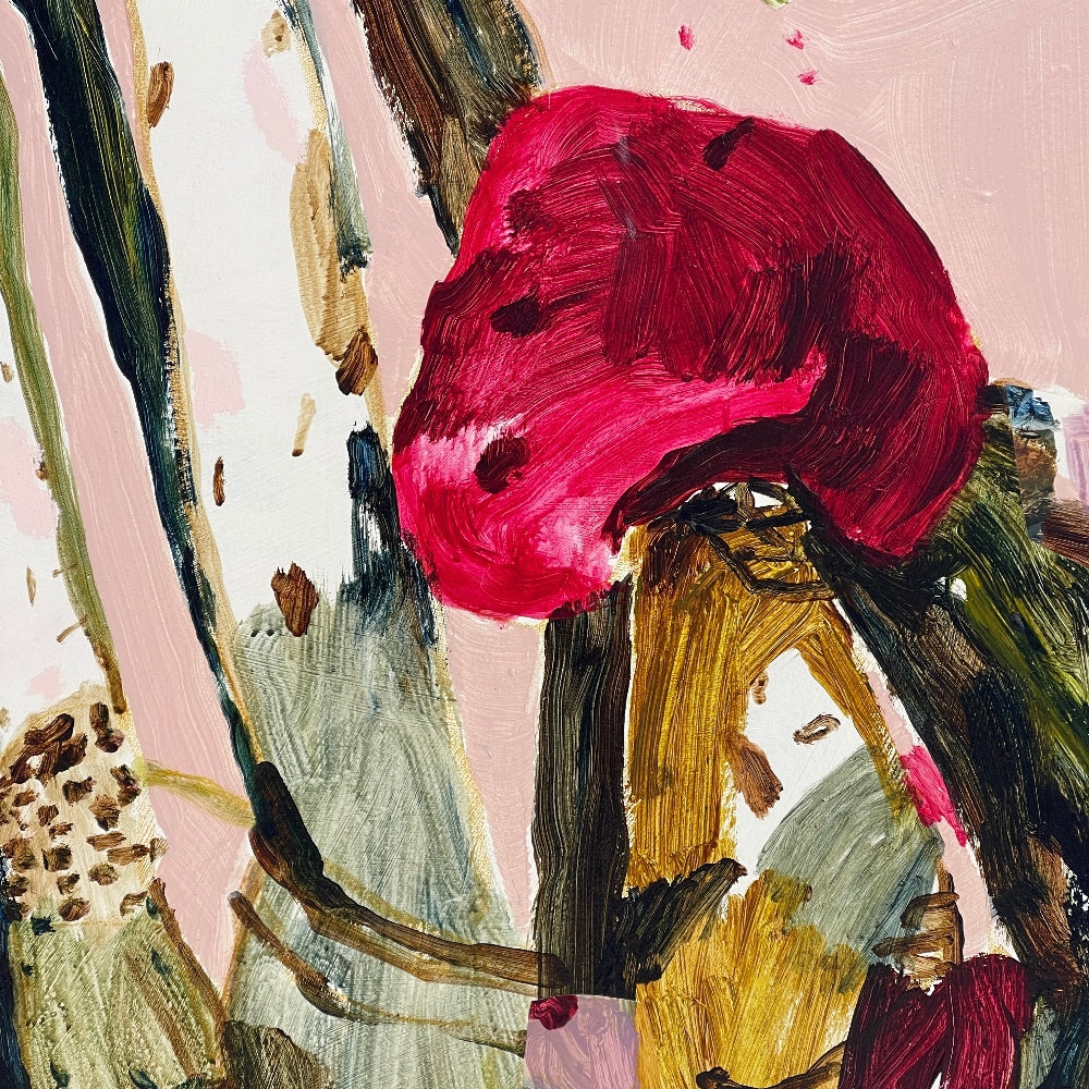 OF CAPS AND CURIOSITIES