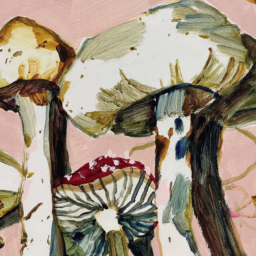 OF CAPS AND CURIOSITIES