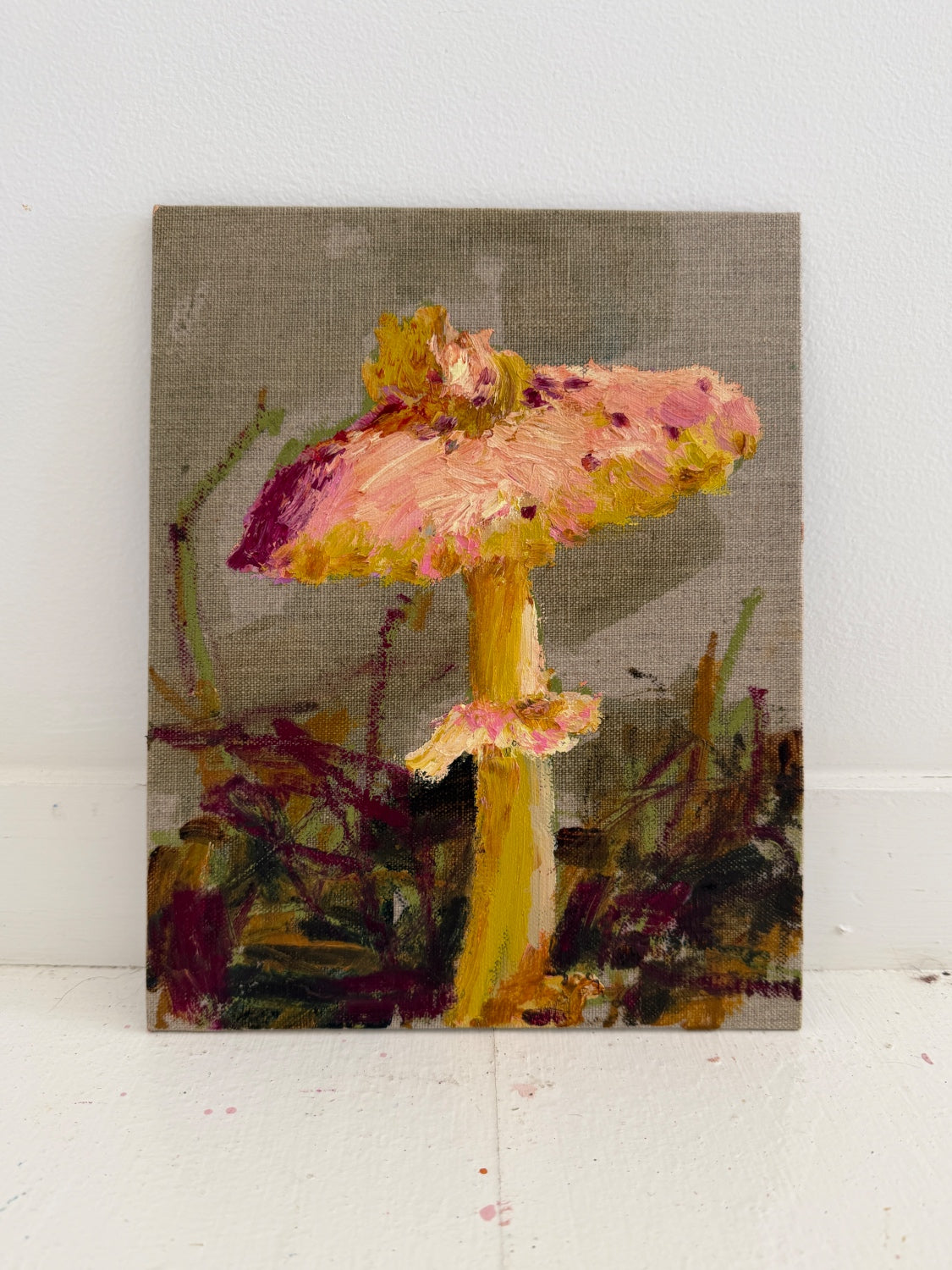 PARASOL SHROOM II - canvas study