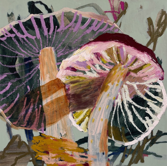 PINKGILLS Genus Entoloma