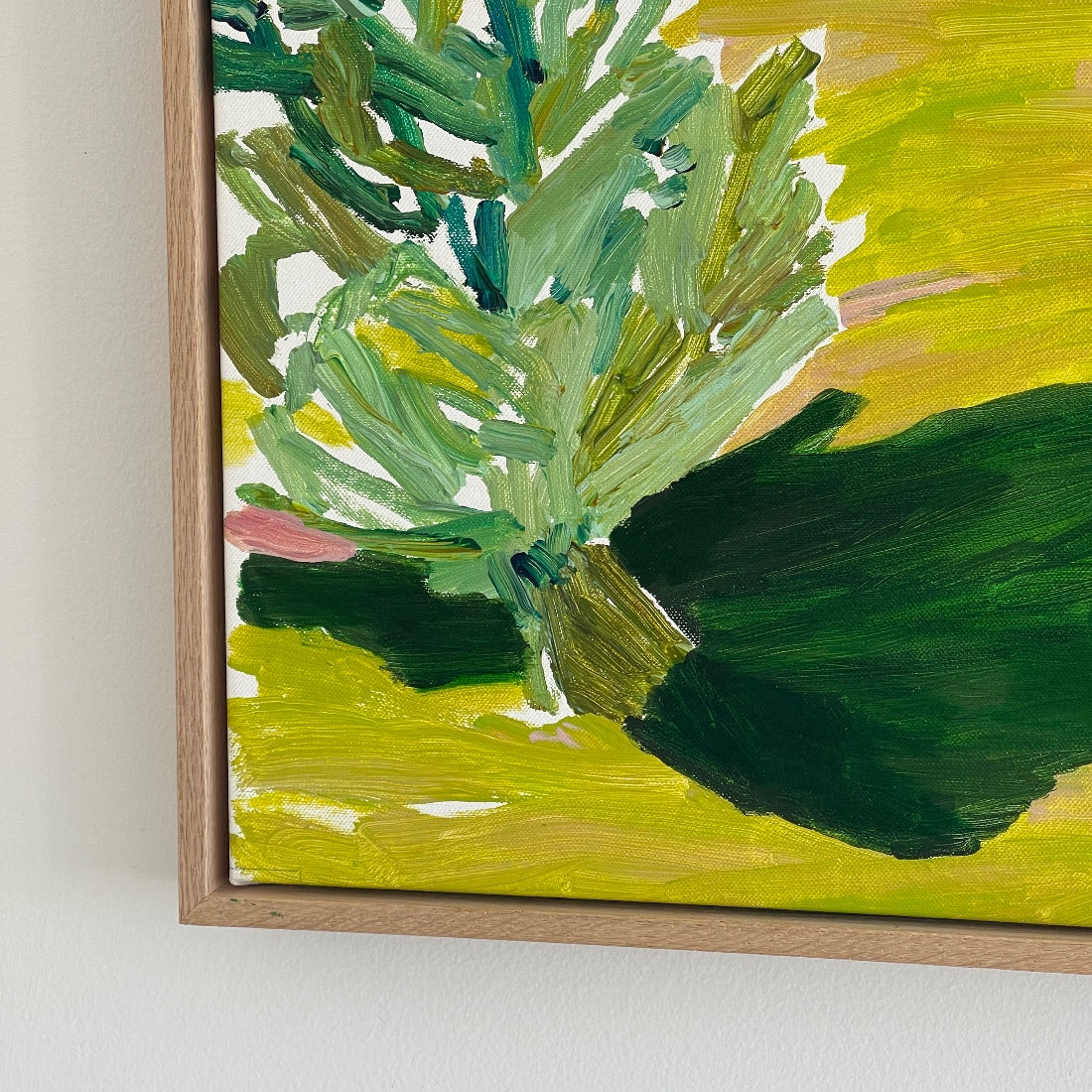 TENDER BLAZE OF EARLY SUN