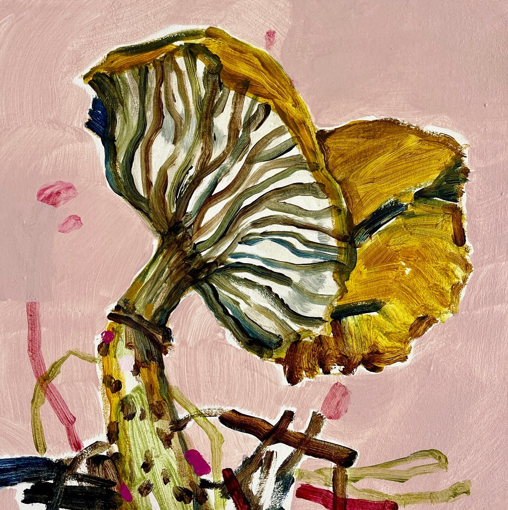 THE CURIOUS CASE OF THE CROOKED SPORE